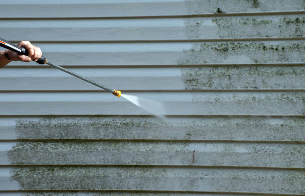 Best Attic Mold Removal  in Fearrington Village, NC