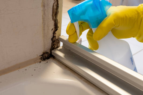 Crawl Space Mold Removal in Fearrington Village, NC