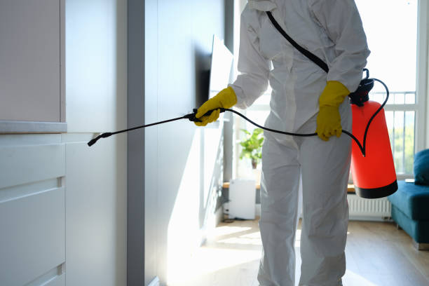 Best Professional Mold Removal  in Fearrington Village, NC