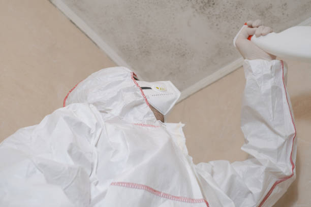 Trusted Fearrington Village, NC Mold Removal Experts