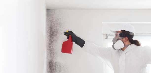 Best Office Mold Removal Services  in Fearrington Village, NC